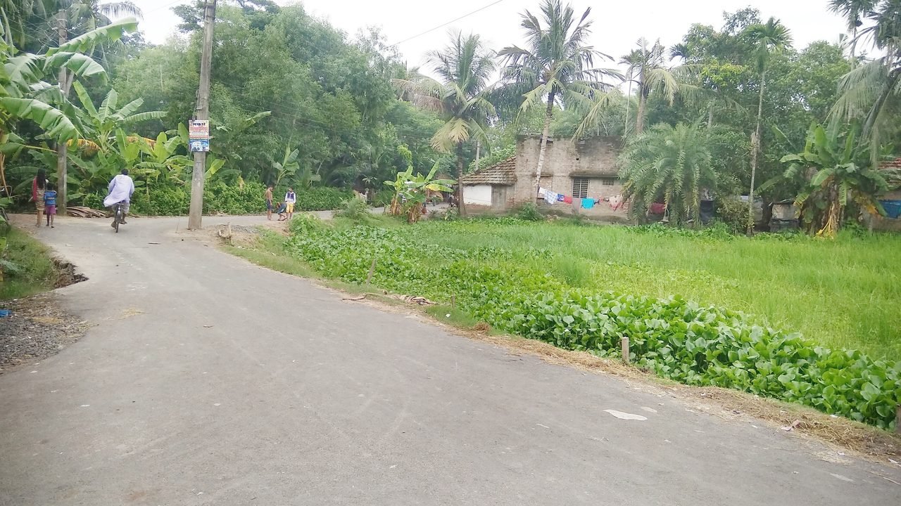 बंगाल उपचुनाव: नंदीग्राम से भाजपा ने चंद्रनाथ रथ की मां हासिरानी रथ को उतारा, टीएमसी के दोनों धड़े मैदान में
